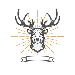 deer head with sun burst.