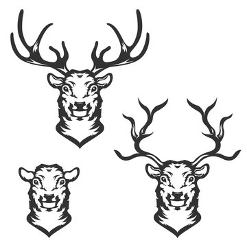 Set of deer heads in vector.