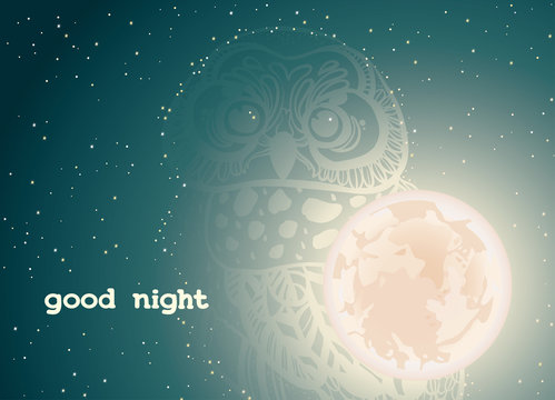 Night sky and owl - good night.