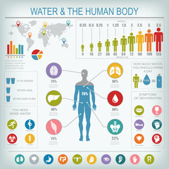 Water and human body infographic