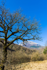 Mountain landscape in winter