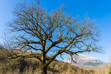 Mountain landscape in winter