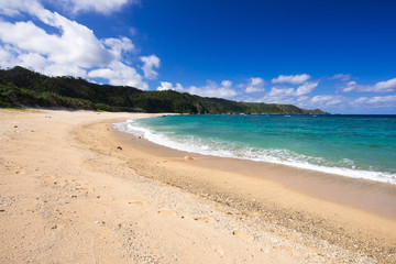 Fototapeta na wymiar 沖縄のビーチ・アダンビーチ 