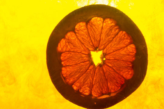 close up of a grapefruit slice in water