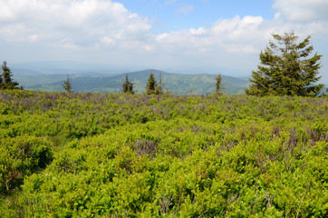 Mountains in Slovakia (Slovenské Beskydy) © Artur Henryk