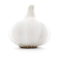 Natural single whole garlic bulb, fresh spicy organic vegetable