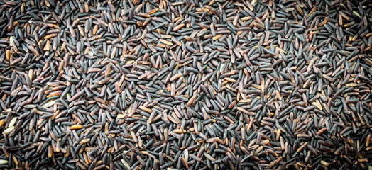 Black rice Thailand (Berry rice), organic rice