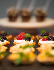Delicious Canape of Mini Tarts 