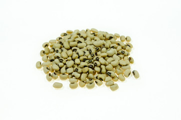 white bean