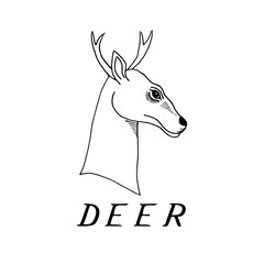 hand draw a deer head with antlers 