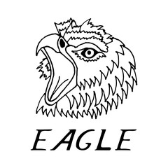 hand draw eagle's head 