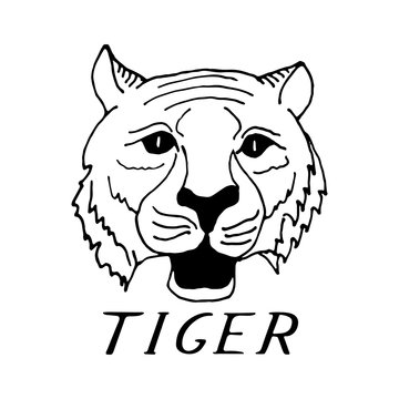hand draw head  tiger in black and white style