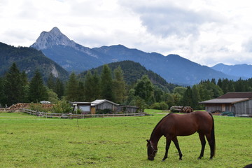 Fototapeta na wymiar Bavarian alps