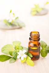 fresh mint oil on wooden table