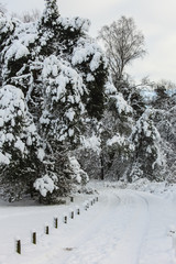 Winter op het Rozendaalse veld bij Arbhem
