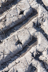 De heide en zandverstuiving van het Rozendaalse veld bij Annhem