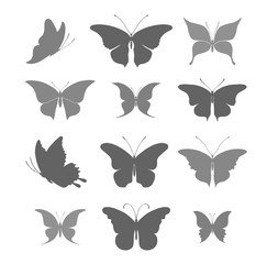 Butterflies graphic silhouettes