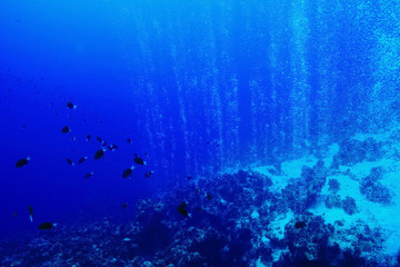 Obraz premium Texture sea water underwater