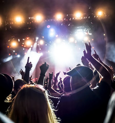 cheering crowd at a rock concert