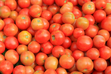 Small organic fresh tomatoes in the market