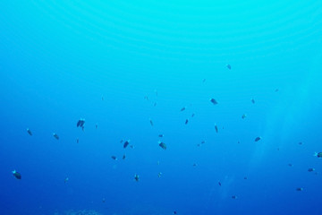 Texture sea water underwater