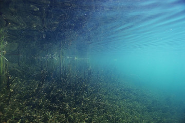 underwater scenery in the river diving