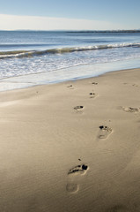 empreintes à la plage