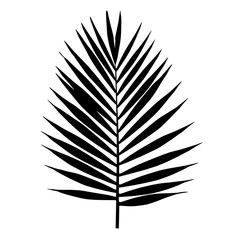 Palm leaf silhouette. Vector illustration. Tropical leaves.