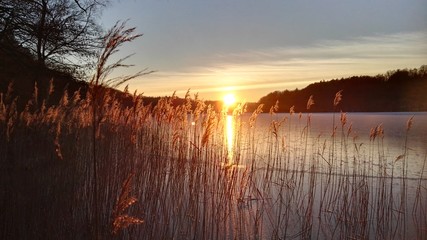 Winter am Liepnitzsee