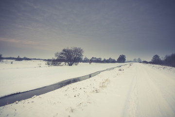 Winter landscape of frosty trees