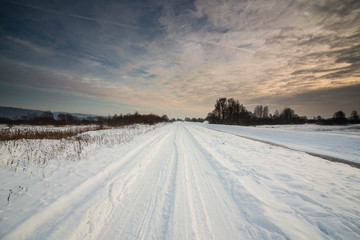 Winter landscape of frosty trees
