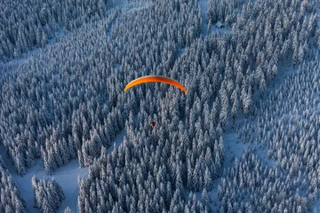 Fototapeten aerial view of  paramotor over the forest in winter © mariusz szczygieł