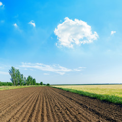white cloud in blue sky over black agriculture field