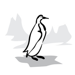 Isolated black and white penguin