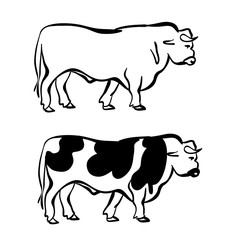 Isolated silhouette of bull