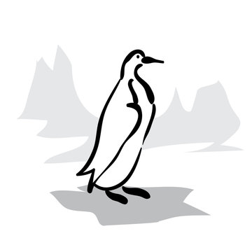 Isolated black and white penguin