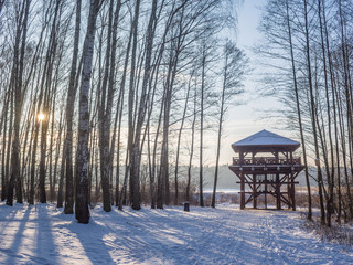 Wieża widokowa na skraju lasu w piękny pogodny zimowy mroźny dzień