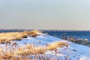 Fototapeta na wymiar Dune overlooking Massachusetts north shore