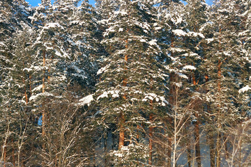 Берег озера зимой © heshixin