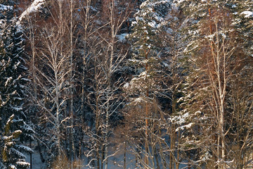 Берег озера зимой © heshixin