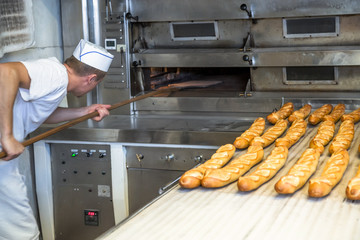 baker removing the oven a delicious crispy golden wand