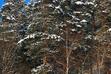 Берег озера зимой © heshixin