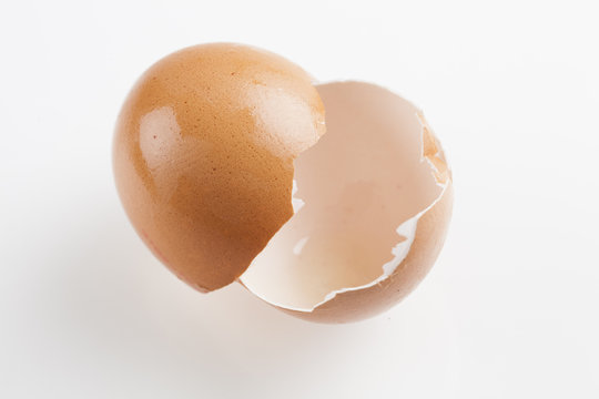 cracked egg
