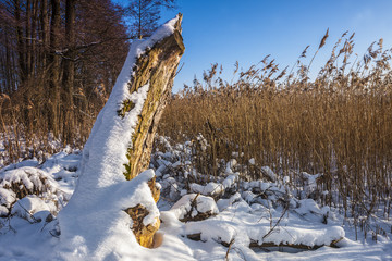 zima na Warmii © Janusz Lipiński