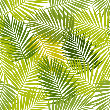 Palm leaf silhouettes seamless pattern. Vector illustration. Tropical leaves.