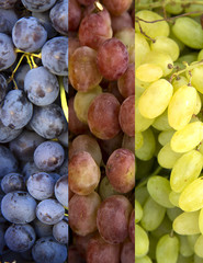 Collage of 3 kinds of grapes