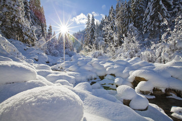 Fototapeta premium Winterzauber am Zauchbach