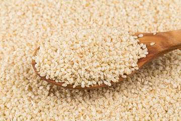 Closeup of lots of sesame seeds