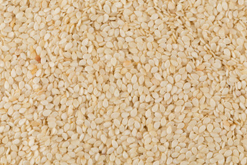 Closeup of lots of sesame seeds