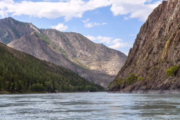 Mountain river Katun in summer, Altai,Russia